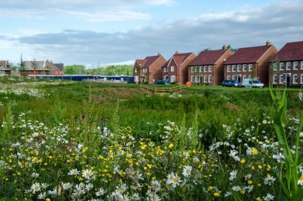 BNG new homes